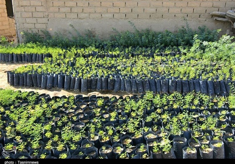 بازدید از پروژه مهار ریزگردهای داخلی استان خوزستان 