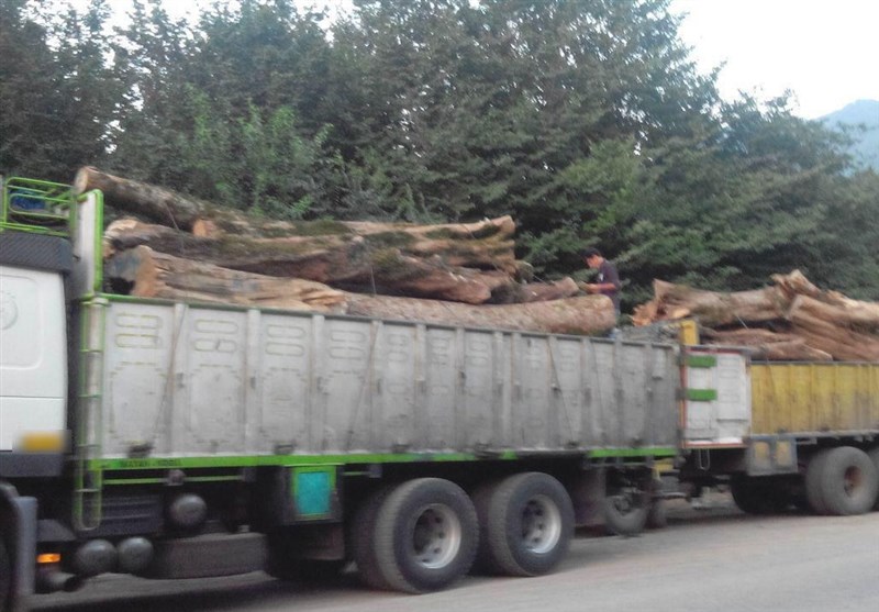 اخبار استان مازندران , اخبار ساری , جنگل های هیرکانی , نظام مسائل استان , نظام مسائل استان مازندران ,
