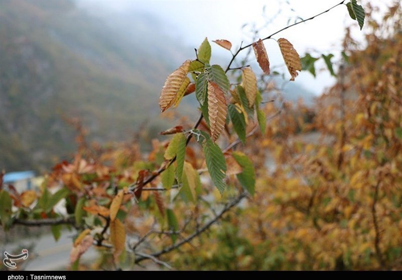 پاییز اشکورات