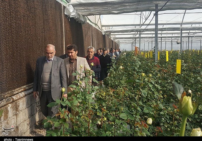 سفر معاون وزیر تعاون، کار و رفاه اجتماعی به شوش 