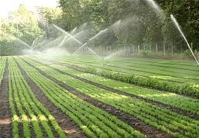 آثار خشکسالی در زمین های کشاورزی