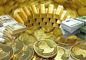 واکنش رئیس سابق بانک مرکزی به نوسانات اخیر در بازار سکه و ارز