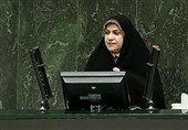 ذوالقدر: وام 50 میلیون تومانی ازدواج نقطه قوت بودجه 99 است