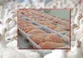 قیمت انواع گوشت مرغ قطعه بندی طعم دار بسته‌بندی اعلام شد