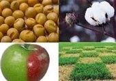 گزارش مرکز پژوهش های مجلس از خطرات تراریخته‌ها