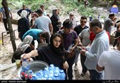 مسافران نوروزی در جنگل گلستان