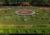 Tulips Festival Held in Iran's Karaj