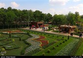 Tulips Festival Held in Iran's Karaj