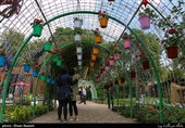 Tulips Festival Held in Iran's Karaj