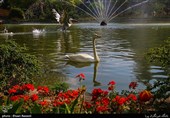 Tulips Festival Held in Iran's Karaj