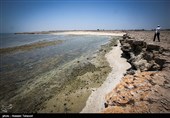 جزیره هِندُرابی