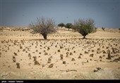 قبرستان جزیره هندورابی