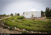 جزیره هِندُرابی