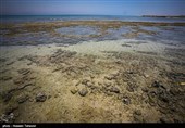 جزیره هِندُرابی
