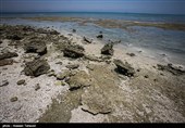 جزیره هِندُرابی