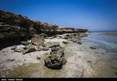 جزیره هِندُرابی