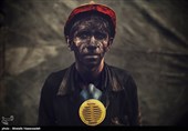 نخود و لوبیا مستحق ارز دولتی هستند، لوکوموتیو معدن نیست؟