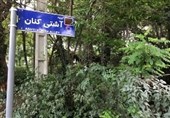 کوچه "آشتی‌کنان" در منطقه‌ای با 79درصد طلاق/جاذبه گردشگری در میان برج‌های پست‌مدرن+تصاویر
