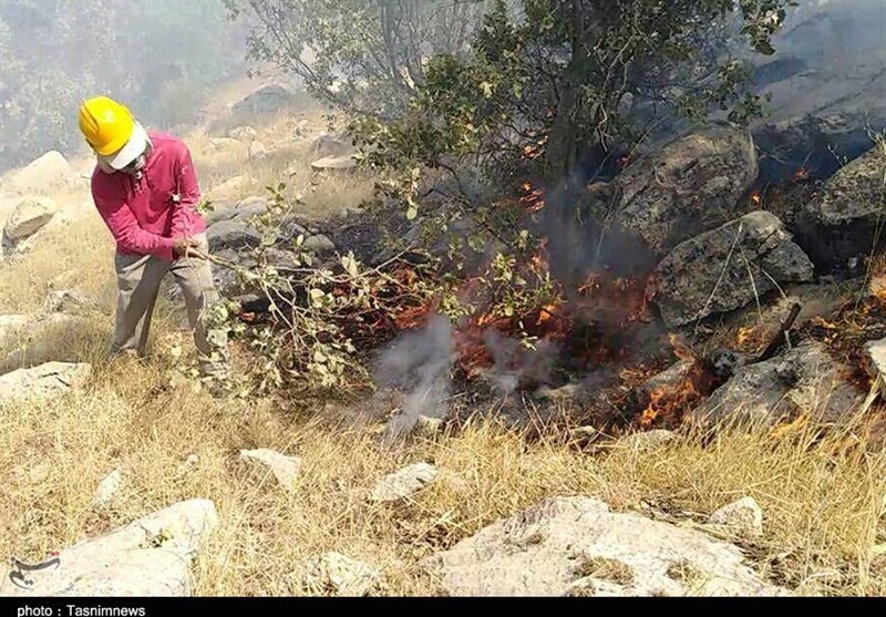 24 هکتار از مناطق حفاظت شده کهگیلویه و بویراحمد در آتش سوخت