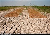 زاگرس در آستانه بحران زیستی/ فرسایش 7 برابری خاک‌!