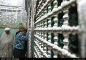 غبار روبی ضریح مطهر حضرت عبدالعظیم حسنی (ع)