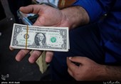 گفت‌وگو|دولت ارز 4200 تومانی کالاهای اساسی را کجا هزینه کرده است؟