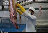 هشدار وزارت بهداشت درباره ذبح غیربهداشتی دام در عید قربان