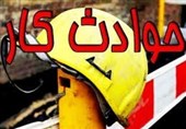 گاز ‌زیتون جان 3 کارگر را در طارم گرفت
