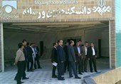 برگزاری هفته هنر انقلاب اسلامی در دانشگاه صدا و سیما