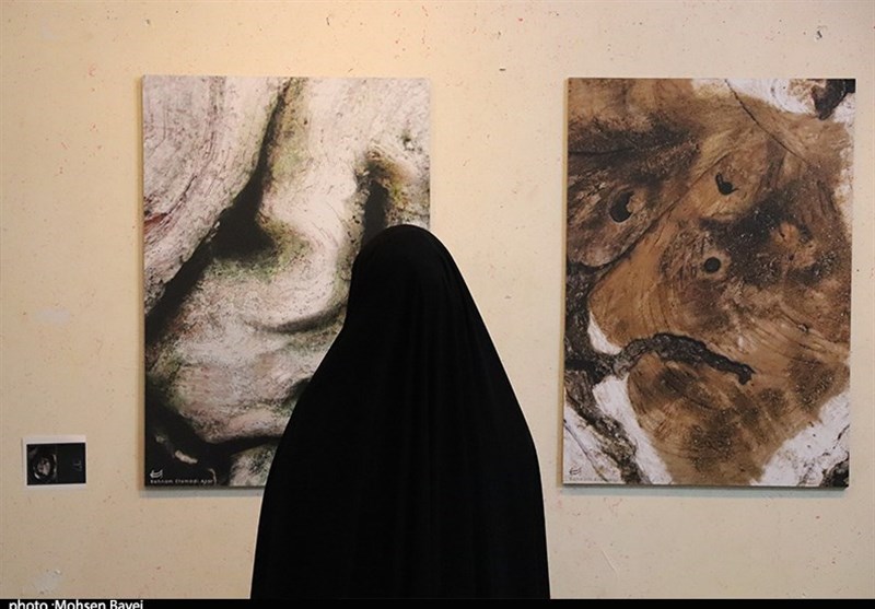 هنرهای تجسمی , جشنواره هنرهای تجسمی فجر , دوازدهمین جشنواره تجسمی فجر ,