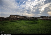 نفت سفید نام شهری است  در ۳۶ کیلومتری شهرستان هفتکل و ۵۵ کیلومتری اهواز در استان خوزستان. 