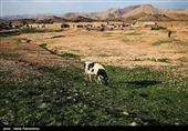نفت سفید نام شهری است در 36 کیلومتری شهرستان هفتکل و 55 کیلومتری اهواز در استان خوزستان