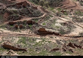 نفت سفید نام شهری است  در ۳۶ کیلومتری شهرستان هفتکل و ۵۵ کیلومتری اهواز در استان خوزستان.