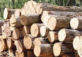 کشف 350کیلوگرم چوب قاچاق در آران و بیدگل