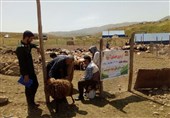 واکسیناسیون بیش از 527 هزار رأس دام در قزوین