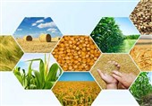 موضع "طرح شمس" در قبال محصولات تراریخته چیست؟