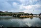 Niloofar Sarab Wetland in Iran's Kermanshah