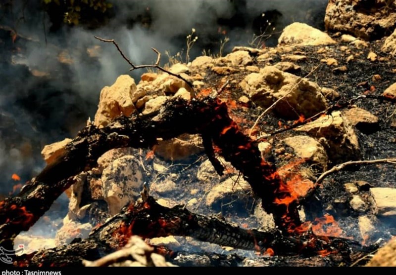 آتش سوزی جنگل ها و مراتع ,