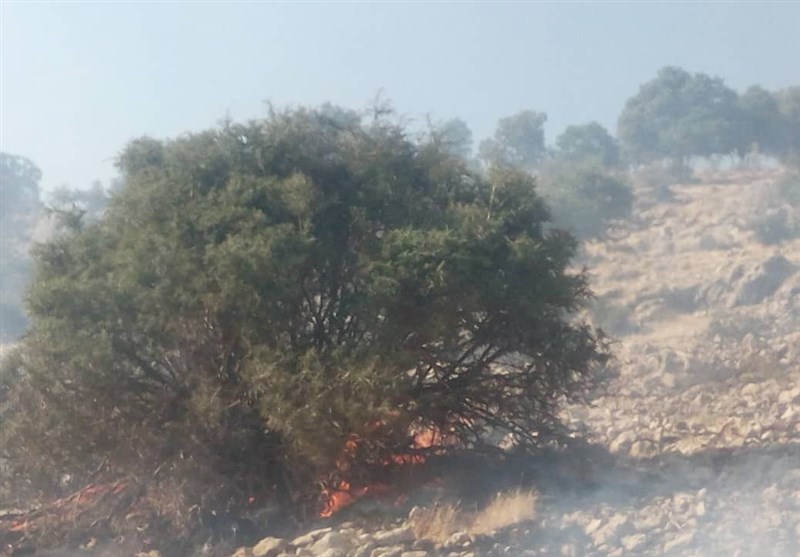 آتش سوزی جنگل ها و مراتع , 