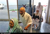 حج تمتع 98| 2158 ایرانی در ایام حج بستری شدند/افزایش تعداد فوتی‌ها