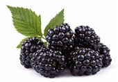 تبدیل شدن سولقان به قطب شاتوت کشور