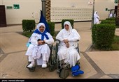مسجد شجره که مسجد ذوالحلیفه یا میقات ابیارعلی نیز نامیده می شود، از مساجد تاریخی منطقه مدینه است