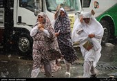 حجاج ایرانی در مراسم دعای عرفه در صحرای عرفات