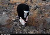 جمع آوری سنگ توسط حجاج برای رمی جمرات