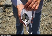 جمع آوری سنگ توسط حجاج برای رمی جمرات