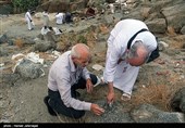 جمع آوری سنگ توسط حجاج برای رمی جمرات