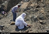 جمع آوری سنگ توسط حجاج برای رمی جمرات
