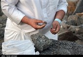جمع آوری سنگ توسط حجاج برای رمی جمرات