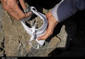 جمع آوری سنگ توسط حجاج برای رمی جمرات