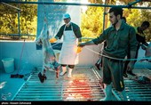توصیه‌‌های بهداشتی برای پیشگیری از شیوع بیماری‌‌های قابل انتقال بین دام و انسان